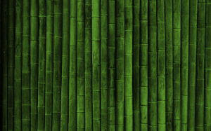 bamboo