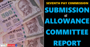 allownce committee report